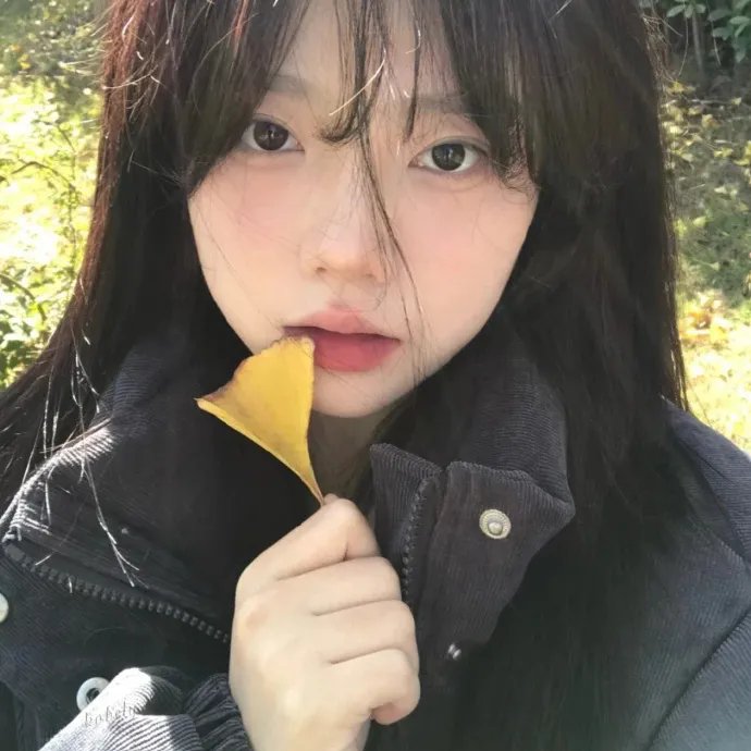 天网记