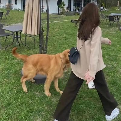 摇摆男孩